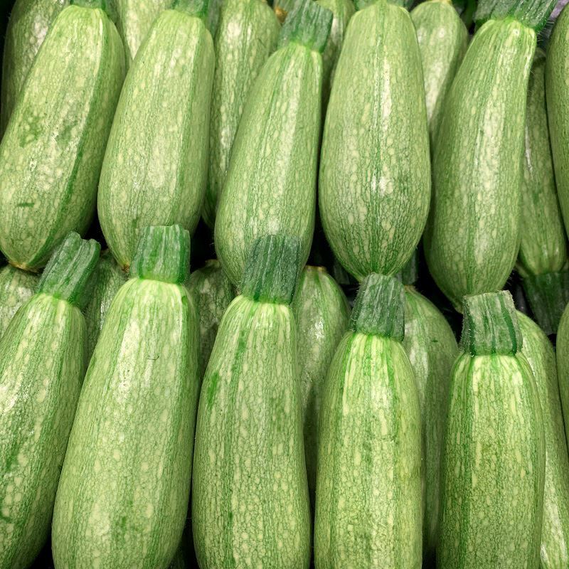 Zucchini Grey