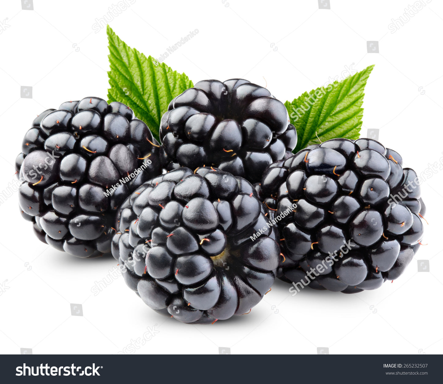 BLACKBERRY