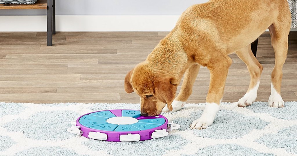 Interactive Puzzle Toys
