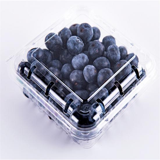Blueberries