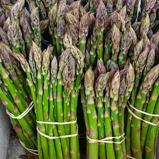 Asparagus