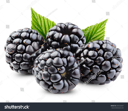 BLACKBERRY
