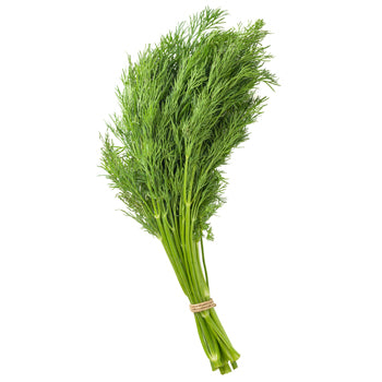 DILL