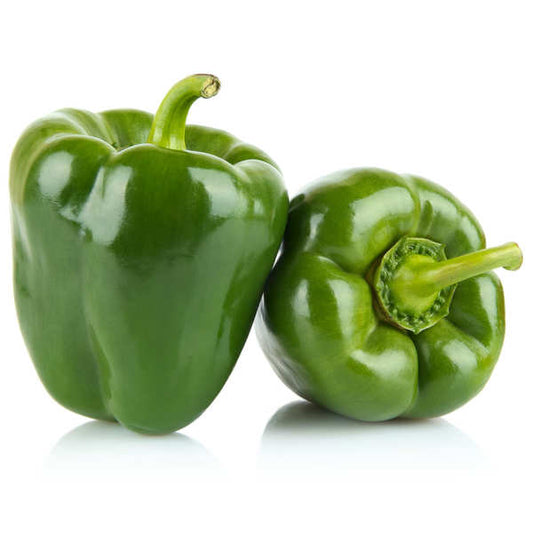 PEPPER GREEN JUMBO