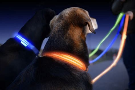 LED Collars & Leashes