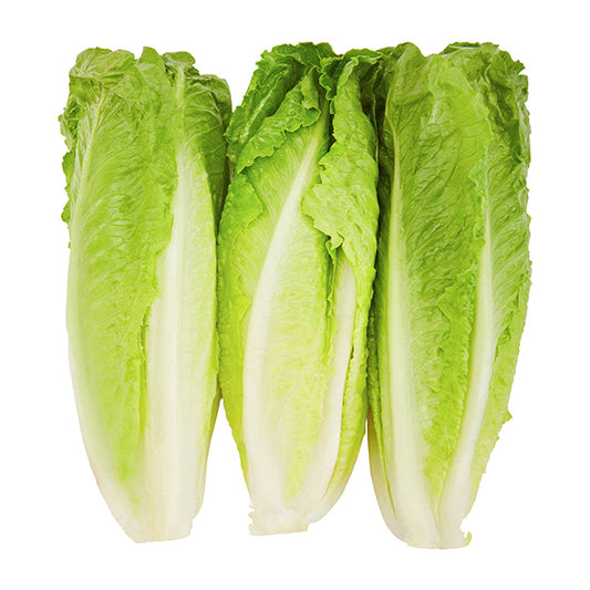 LETTUCE ROMAINE X3