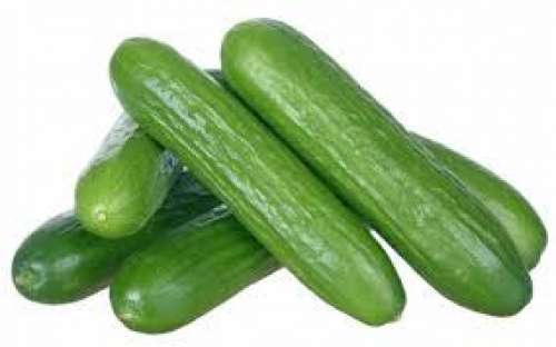 MINI CUCUMBER