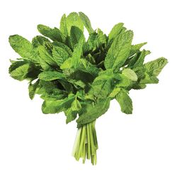 MINTS