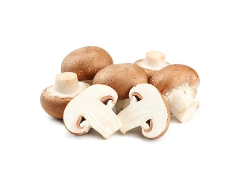 Mushroom Brown