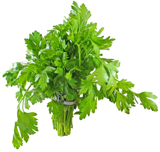 PARSLEY ITALIAN