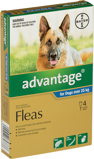 Flea & Tick Treatments