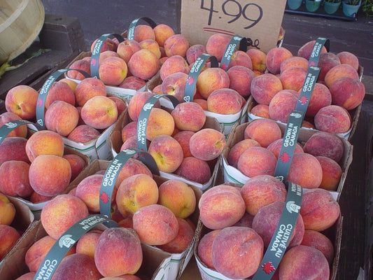 Peaches