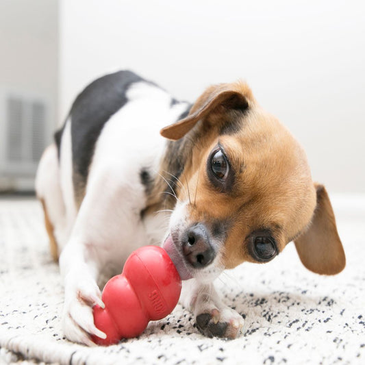 Chew Toys